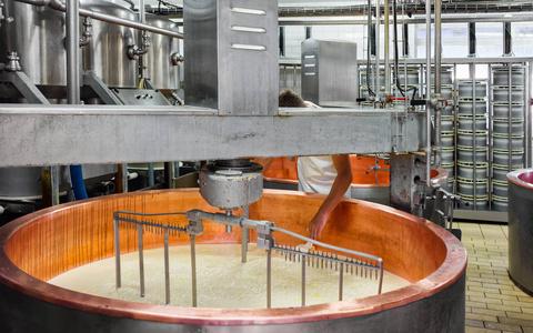 法国乳品厂生产古鲁耶德孔德奶酪照片